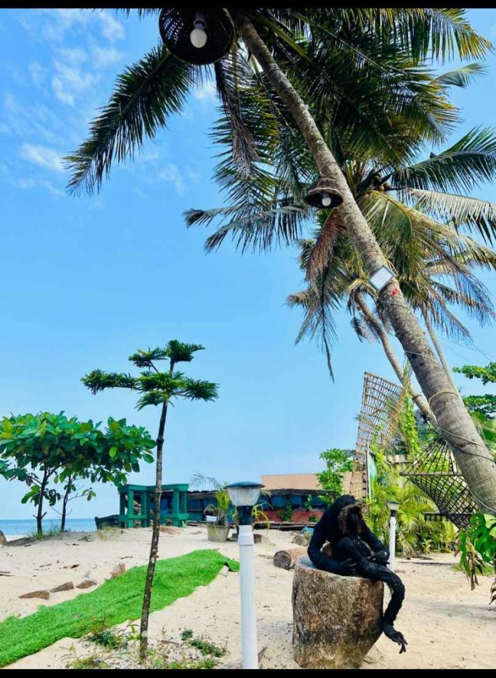 Alivious Beach Homestay Alappuzha Exteriér fotografie